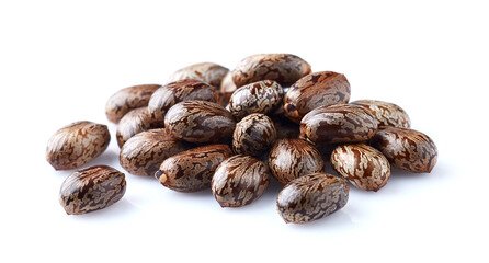 castor oil seeds