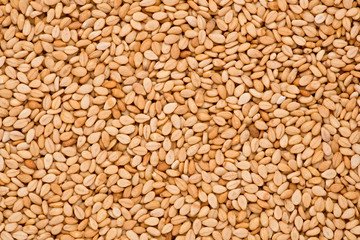 sortex sesame seeds