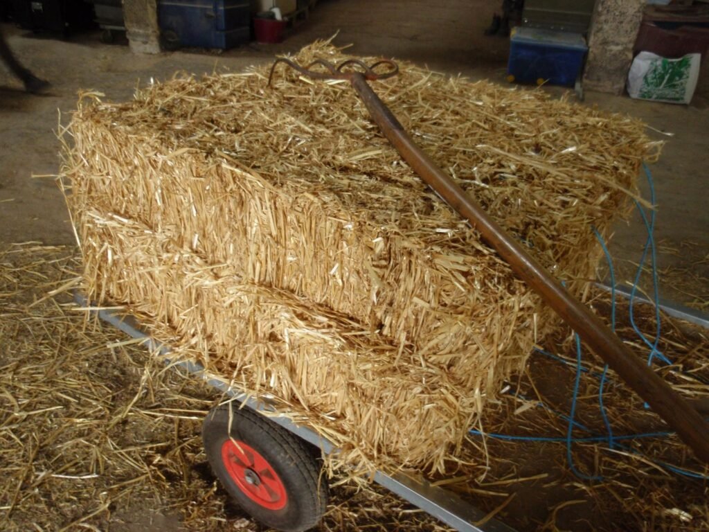 Peanut straw